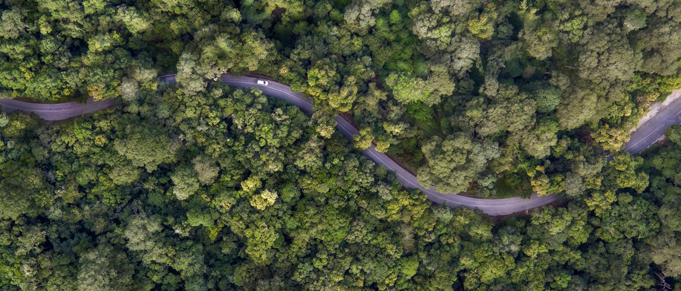 Das perfekte Bild – Fünf Tipps zur Fotokomposition