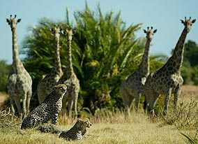 So Very Wonderful in Vumbura!