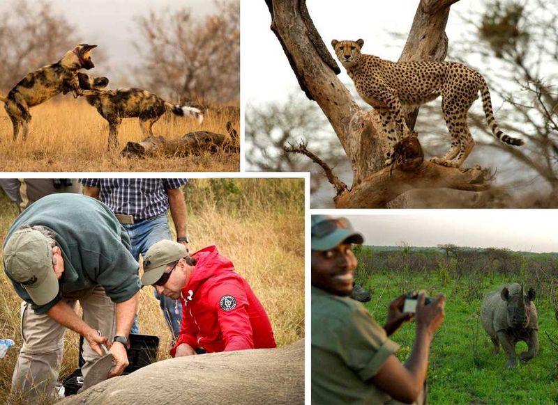 Responsible Tourism in action