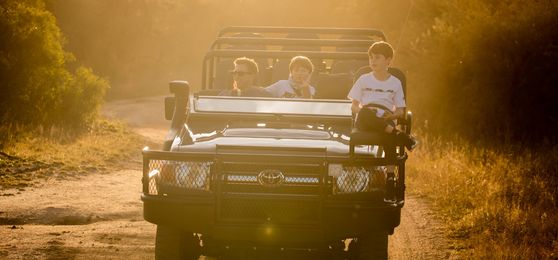 Liebes Jahr 2023: Ein Brief von Rhino Africas Gründer & CEO