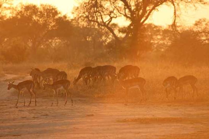 Kruger National Park