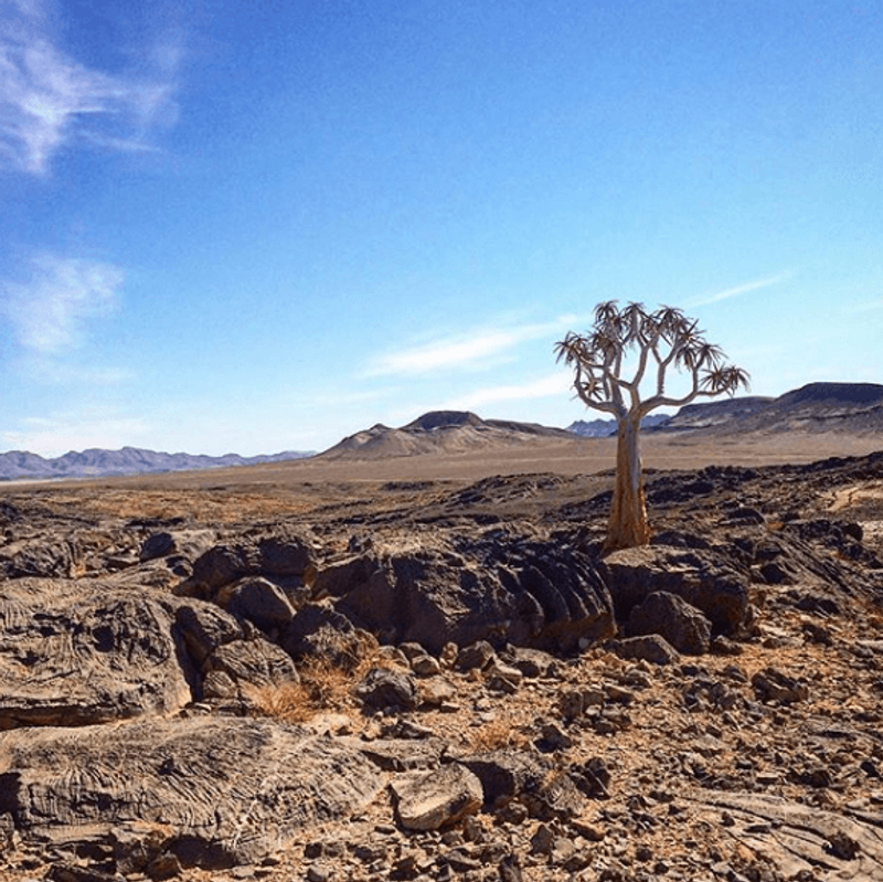 Amanzi River Trails on Namibian trek
