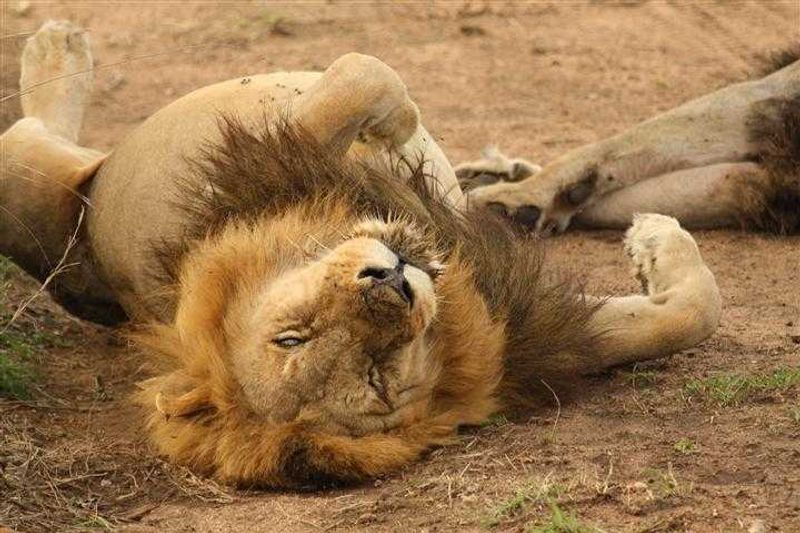 More resting