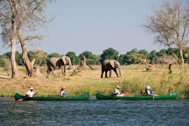canoe down Zambezi past elephants