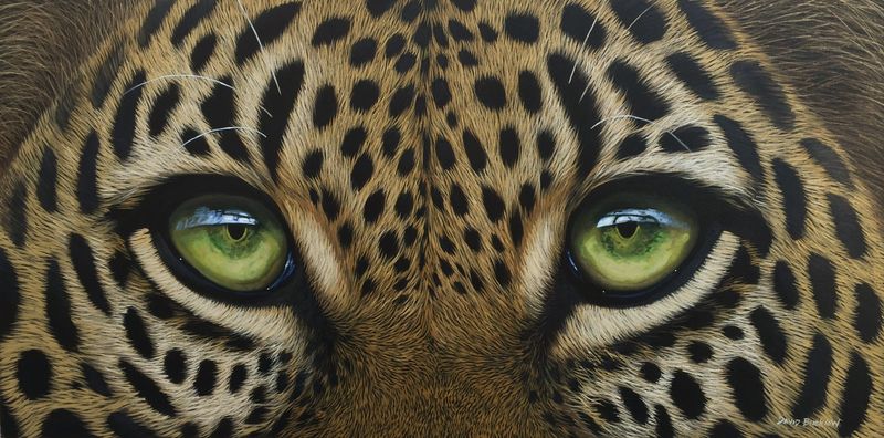 David Bucklow's realistic art of leopard's eyes