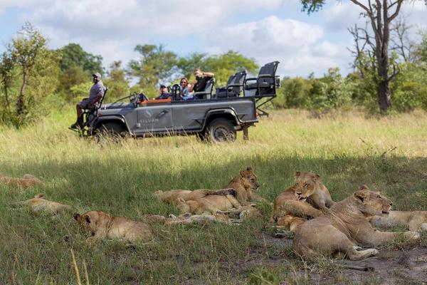 Les meilleures activités safari dans le Kruger