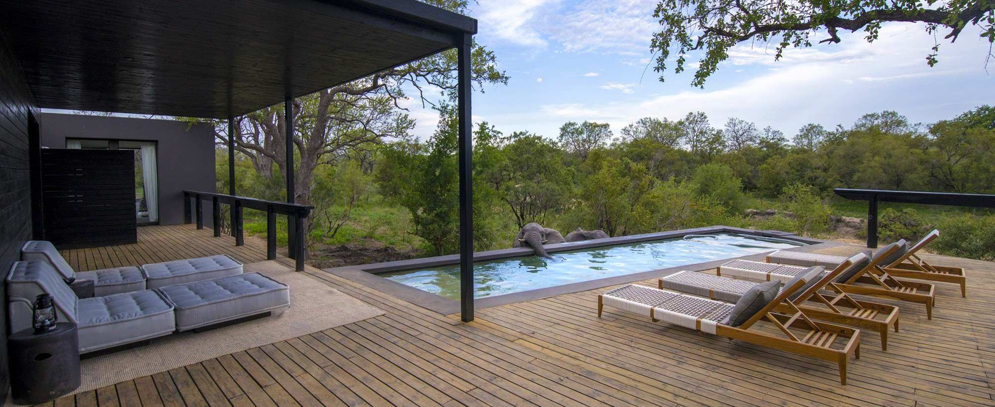 Silvan Safari Blog: Change of Seasons and What to Expect
