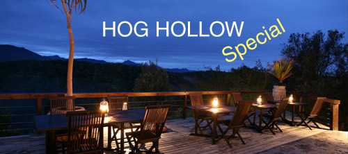Happy Hogs