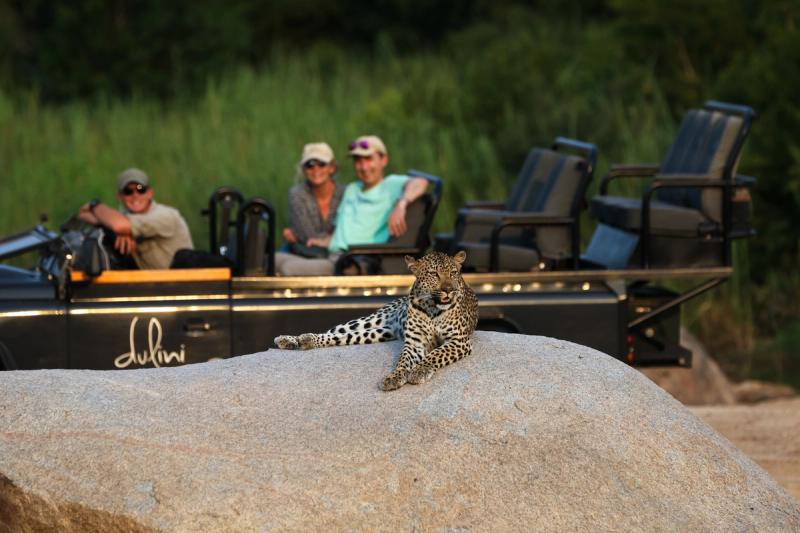 Leopardo descansando sobre una roca de granito frente a un vehículo de safari, mientras los huéspedes observan desde atrás.