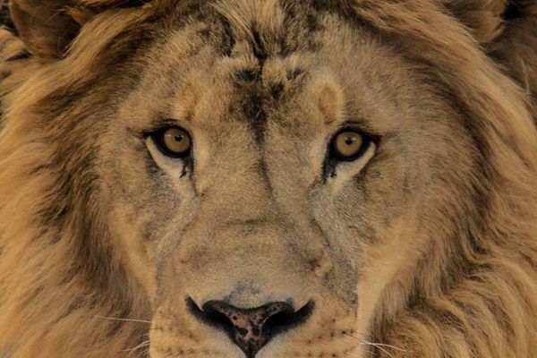 Africa´s Photographer of the Year 2018