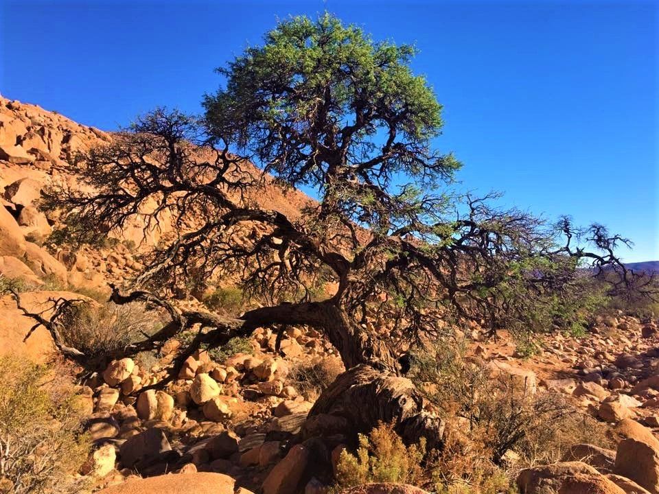 My First Ever Sandy Namibian Trek