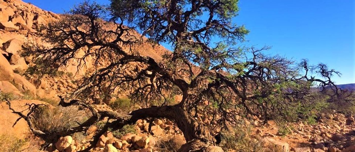 My First Ever Sandy Namibian Trek