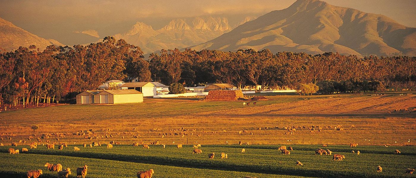 Landenteignung in Südafrika – Auswirkungen für Reisende?