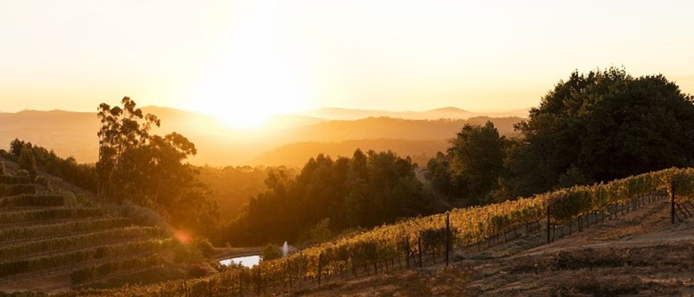 Wine Tram Wonders | Franschhoek Wine Valley