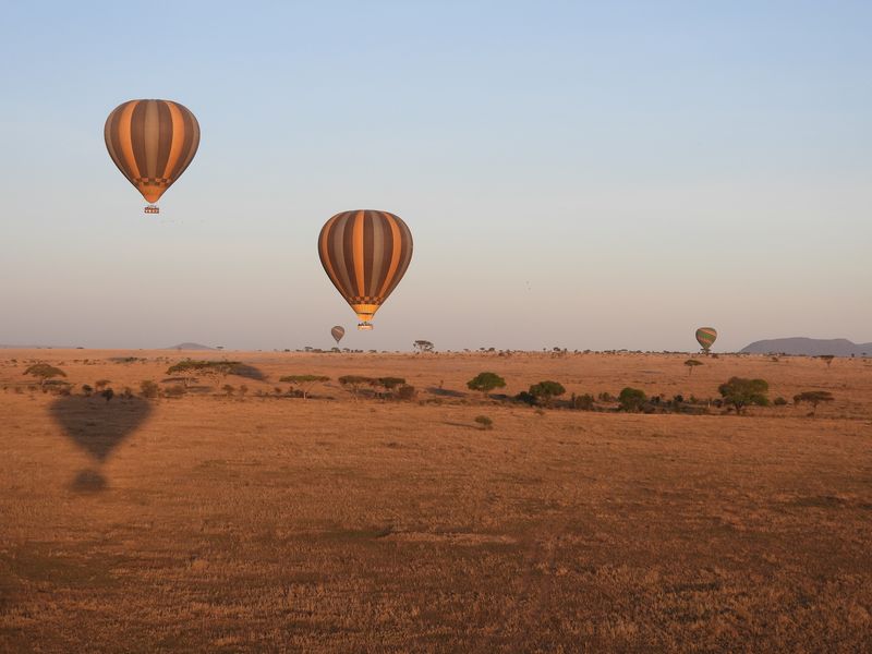Hot air balloons rise into the sky over the Serengeti, the perfect Tanzania safari experience