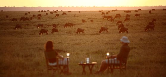 Nuestras preguntas más frecuentes sobre Safaris