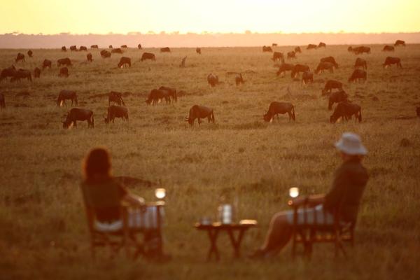Questions les plus fréquemment posées sur les safaris