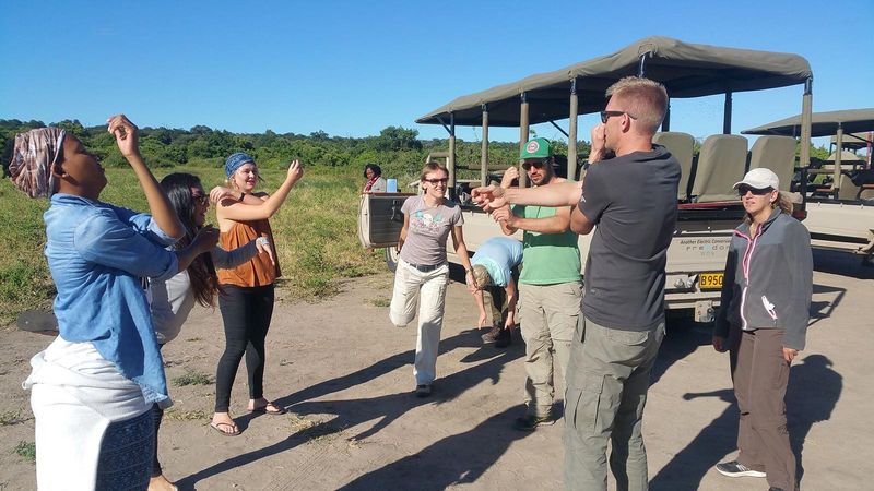 yoga on safari