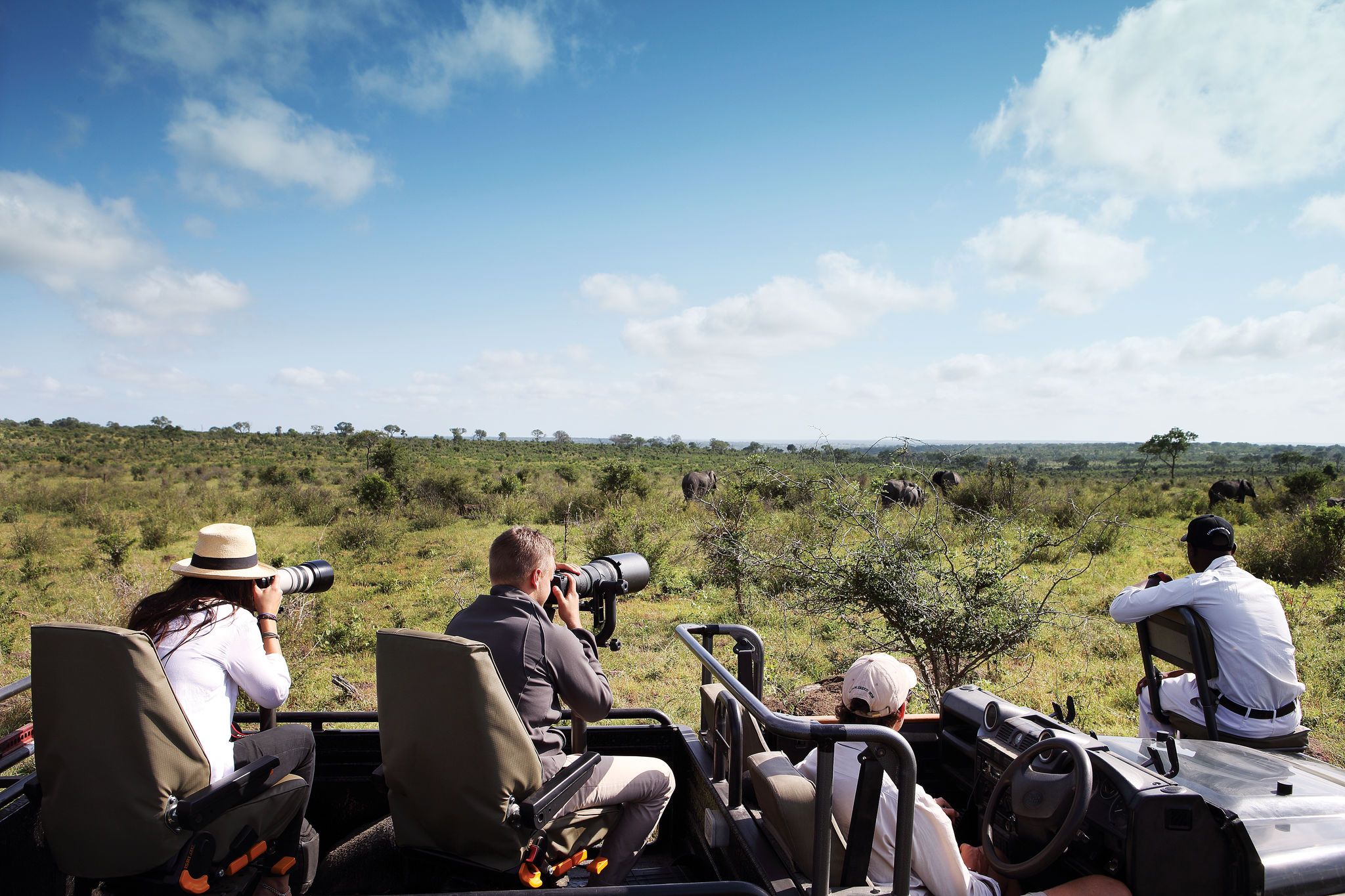 Our Top 5 Photographic Safaris in the Sabi Sand