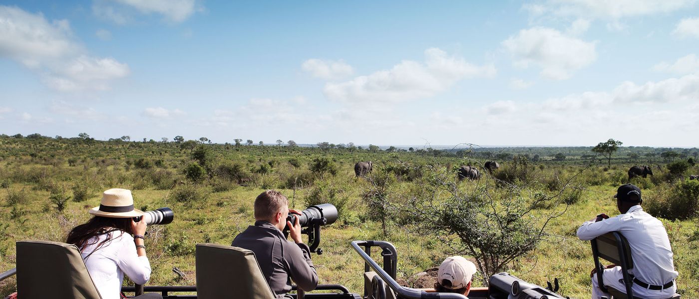Our Top 5 Photographic Safaris in the Sabi Sand