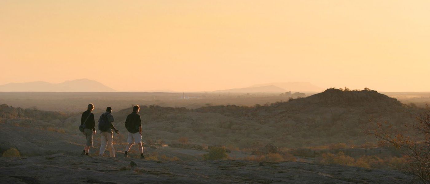 On the Ground: What to Expect On A Safari Bush Walk