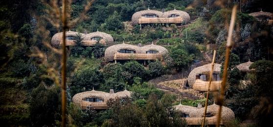 The Best Lodges in Rwanda: Rhino Africa’s Top Picks