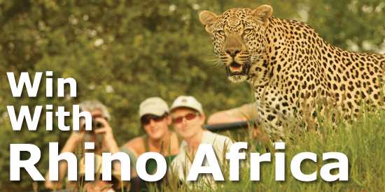 Win A Luxury Safari!!!