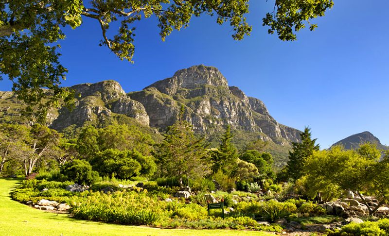 Jardin botanique de Kirstenbosch