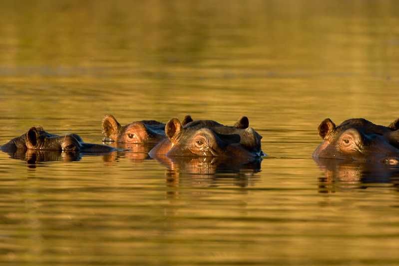 Randy Harris Photography