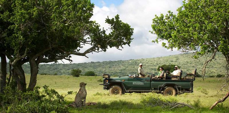 Photo Credit: Kwandwe Private Game Reserve.