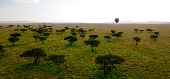 Explore a África Oriental em 2022