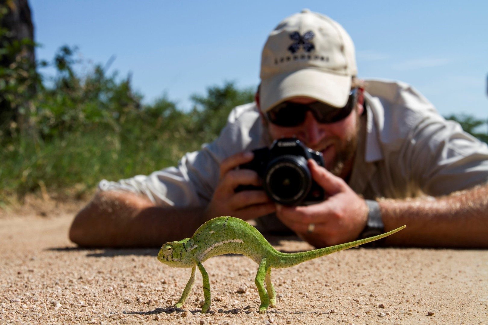 Die große Auswahl an Aktivitäten bei Londolozi