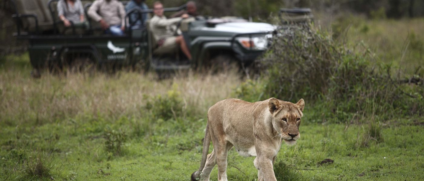 Wie unterscheiden sich Safaris in KwaZulu-Natal und im Krüger?