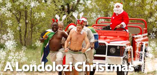 Londolozi Game Reserve gets into the Christmas Spirit!