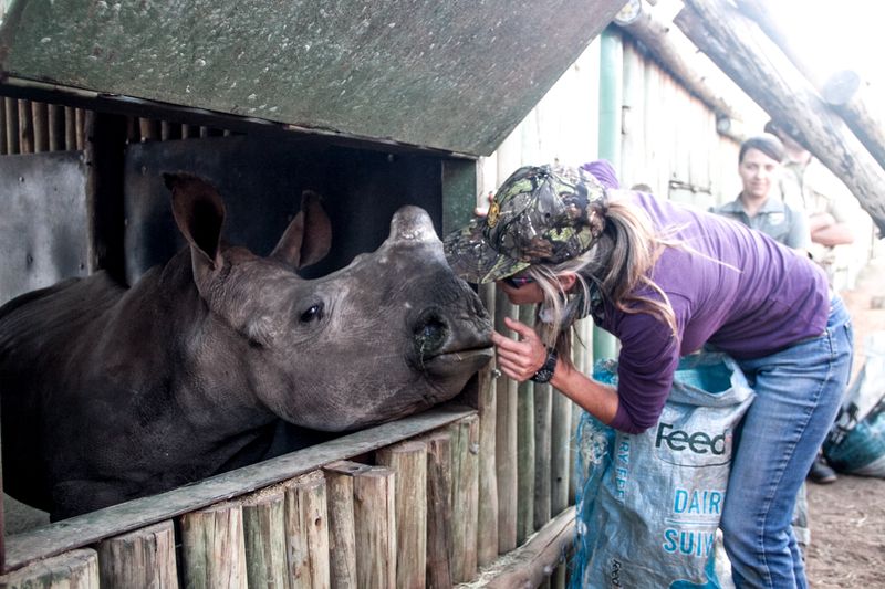 Petronel kisses a rhino