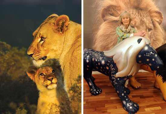 Left: Shamwari, Right: Virginia McKenna OBE - Andrew Brown