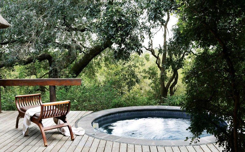 Uma piscina privada com vista para Sabi Sand no Londolozi Varty Camp