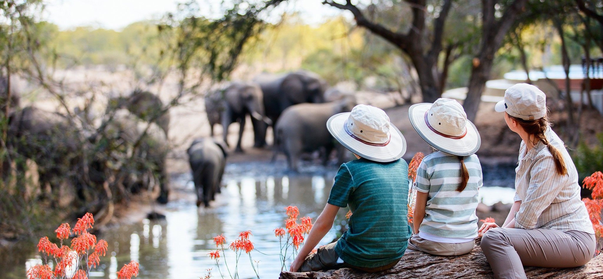 Wilderness Playground: A Family-Friendly Safari in Africa and What to Expect