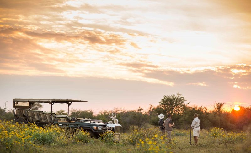 Zauberhafter Sonnenuntergang auf Safari im Madikwe Game Reserve