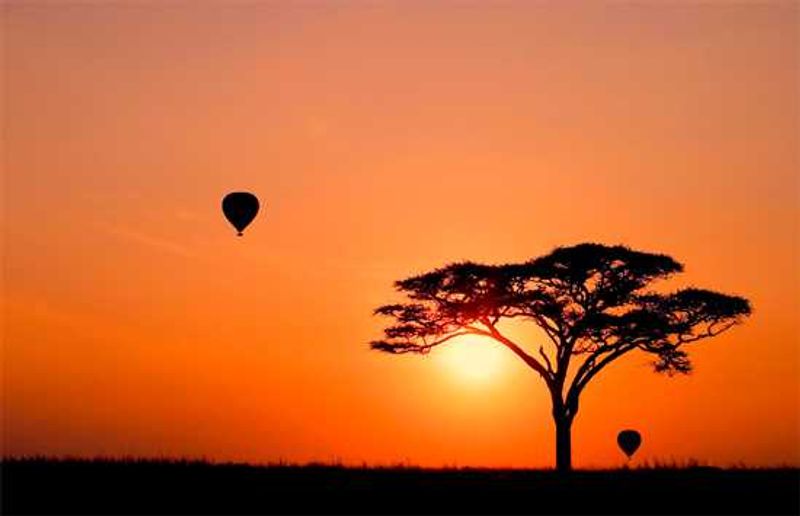 Hot air balloons at sunrise in Seronera, Serengeti