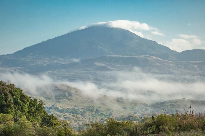 Mount Gorongosa rising above the surrounding forest and mist-covered landscape.