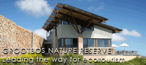 An Inspirational Getaway to Grootbos