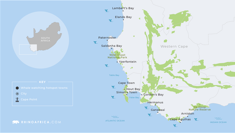 A map for whale-watching in South Africa with the best regions for whale watching