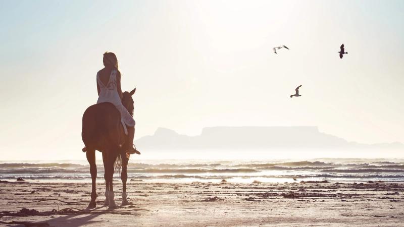 Horse riding on Cape Town's beach