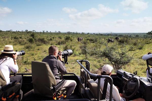 Distintos tipos de safari en África | ¿Cuál se adapta mejor a ti?