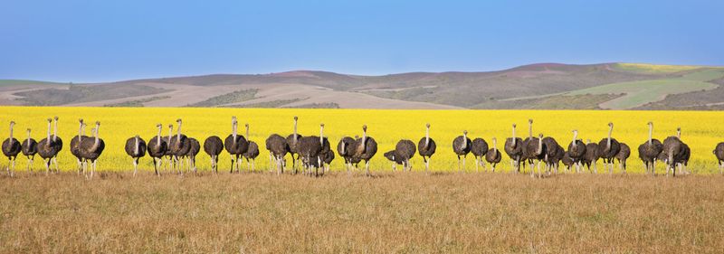 Que faire en Afrique du Sud : nos 7 incontournables en photos