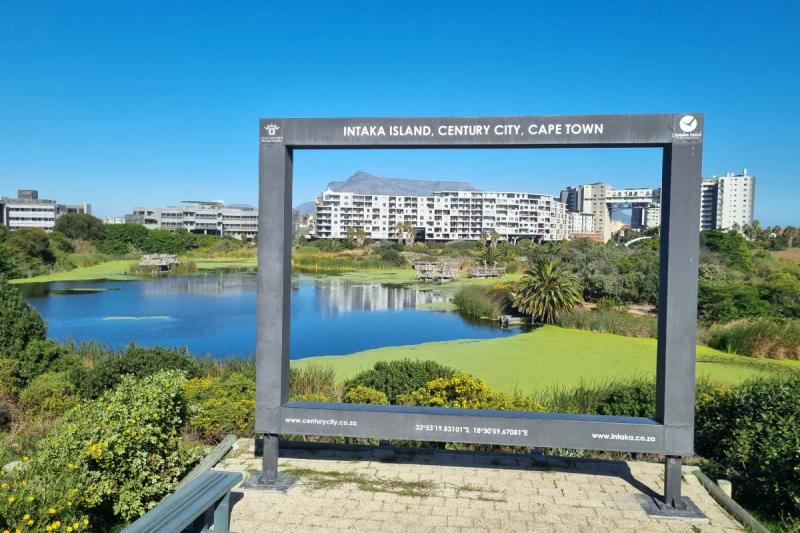 Views of the waterways at Intaka Island in Century City near Cape Town