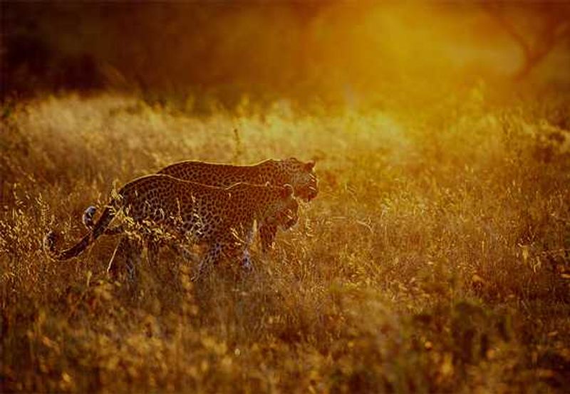 Randy Harris Photography