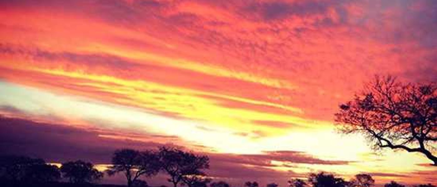 My Trip | No place like the African bush...
