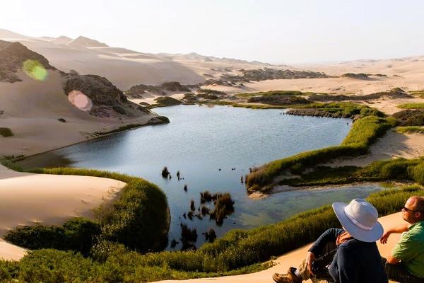 Las recomendaciones de nuestros Expertos en Viajes para sus aventuras de Safari en 2024